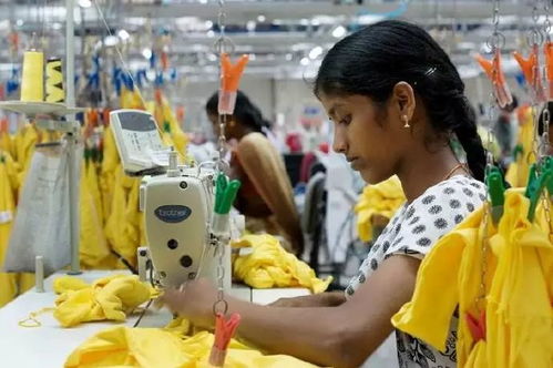 全球貿易格局 德國領銜凈出口，美國主導凈進口，初級農產品貿易格局淺析