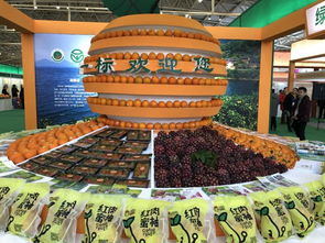 湖南貧困地區優質農產品產銷對接活動在京舉行，助力初級農產品開拓市場