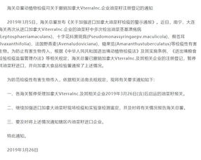 農產品基礎知識系列之油菜的一生 初級農產品視角