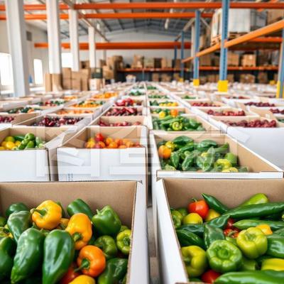 初級農產品及其重要性