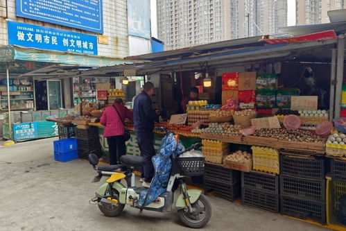 農產品批發市場外遷 趨勢、挑戰與機遇