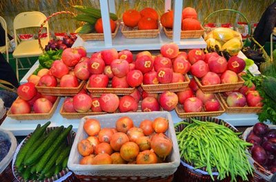 初級農產品的定義與分類