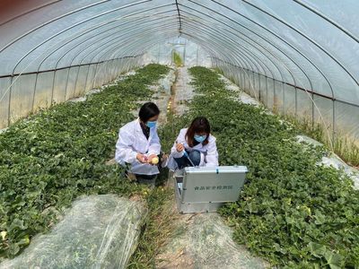 守護“舌尖上的安全” 鹿城開展農產品質量安全專項行動