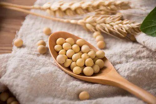 平江 湘贛紅沃土上的綠色寶藏——初級農產品之鄉