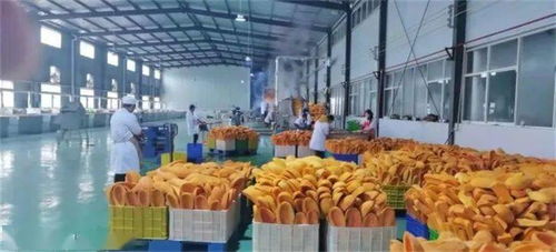 黔貨出海新篇章 畢節織金南瓜的“國際范”之旅