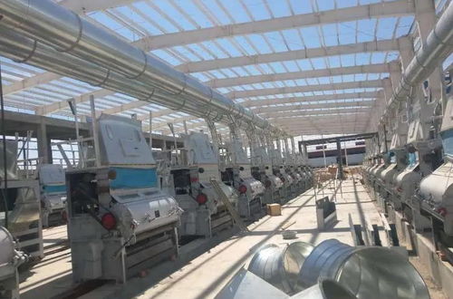 昌吉高新區農產品精深加工產能逆勢增長，初級農產品價值躍升新臺階