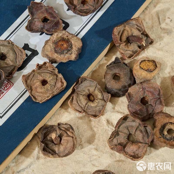 柿蒂 自然饋贈的養生良品，多種規格隨心選