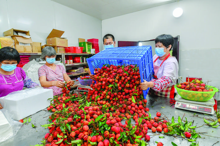 乘勢而上 以初級農產品為引擎，推動經濟總量突破900億元