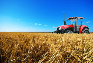 互聯網賦能下農產品加工業與休閑農業融合發展研究報告——以初級農產品為視角