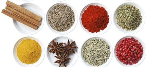 百姓調味品 從田間到餐桌的質樸美味