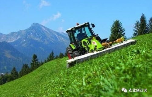 農村戶口與初級農產品 被忽視的權益與時代變遷