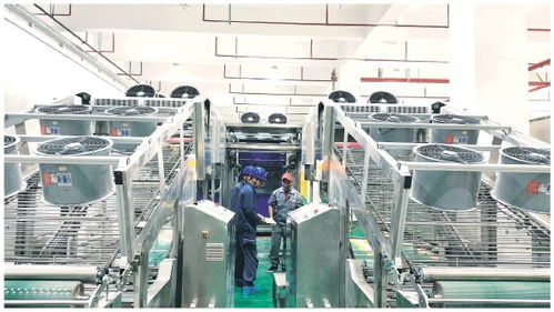 優(yōu)質(zhì)電力添動能，會仙鎮(zhèn)產(chǎn)業(yè)活力滿格